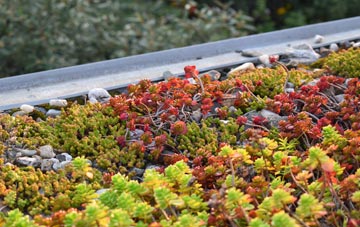 the cost of Ashwood green roof installation
