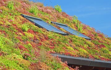 Ashwood living roof systems