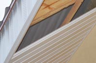 rated Ashwood soffit repair companies